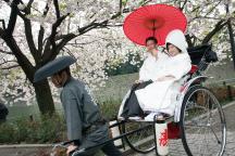 人力車乗車のオプションも♪