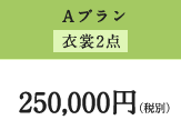 Aコース 250,000円