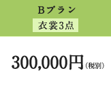 Bコース 300,000円